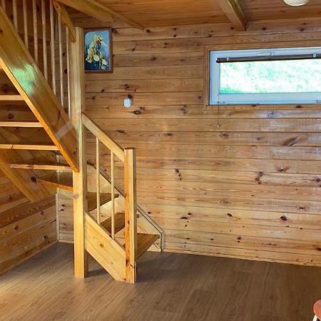 Domek Leszek Zgorzale Ngoại thất bức ảnh